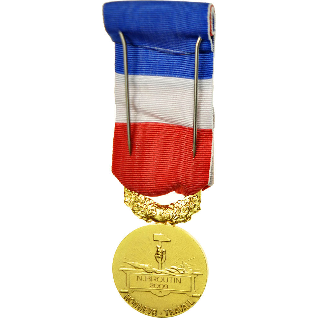 France, Médaille d'honneur du travail, Medal, 2009, Excellent Quality, Borrel