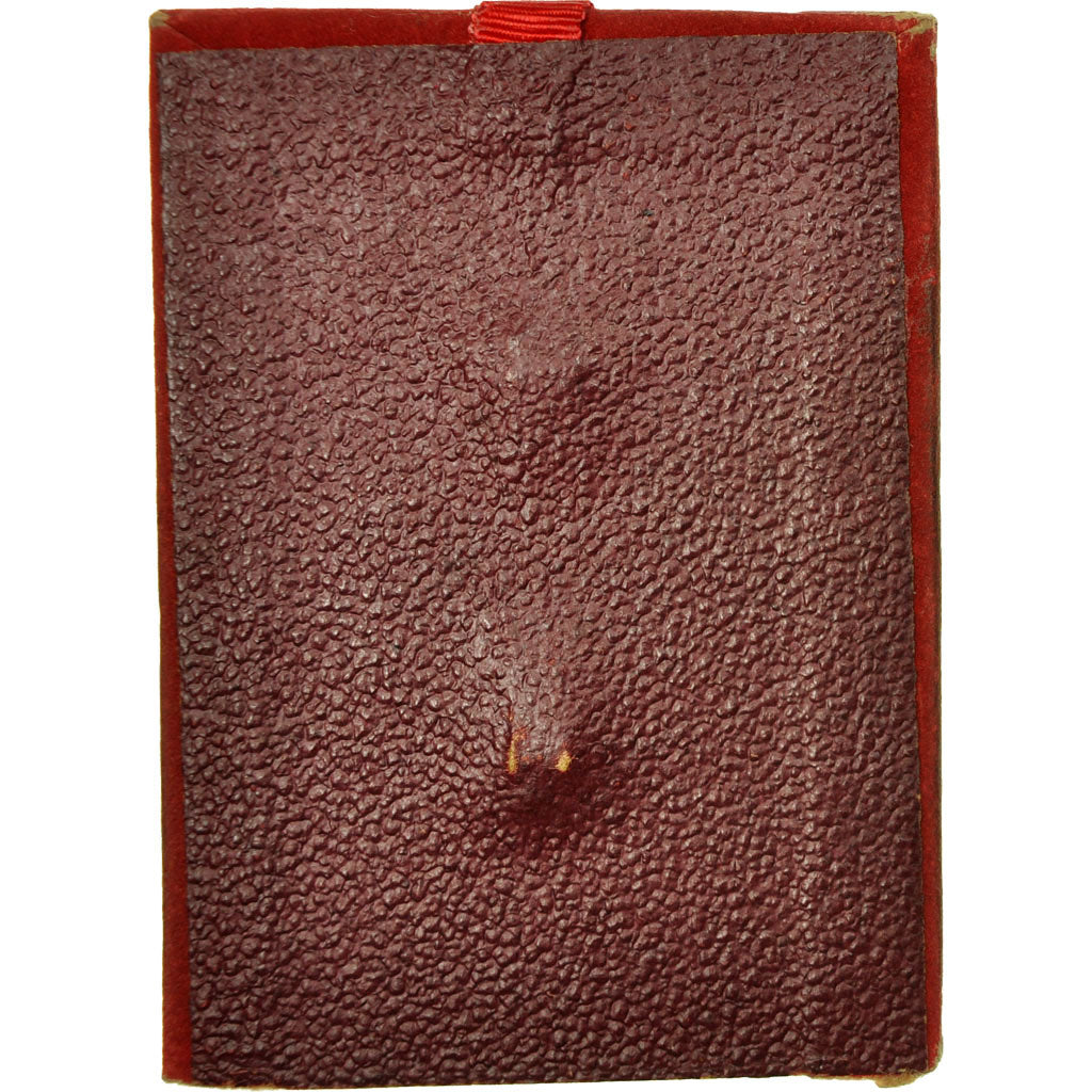 Francia, medalla, Orphelins Apprentis d'Auteuil, Boris, EBC, Bronce