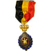 Belgium, Médaille du Travail 1ère Classe avec Rosace, Medal, Excellent