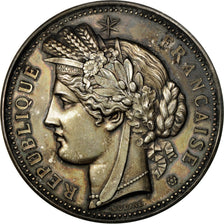 France, Médaille, Comice Agricole de l'Arrondissement d'Apt ( Vaucluse)