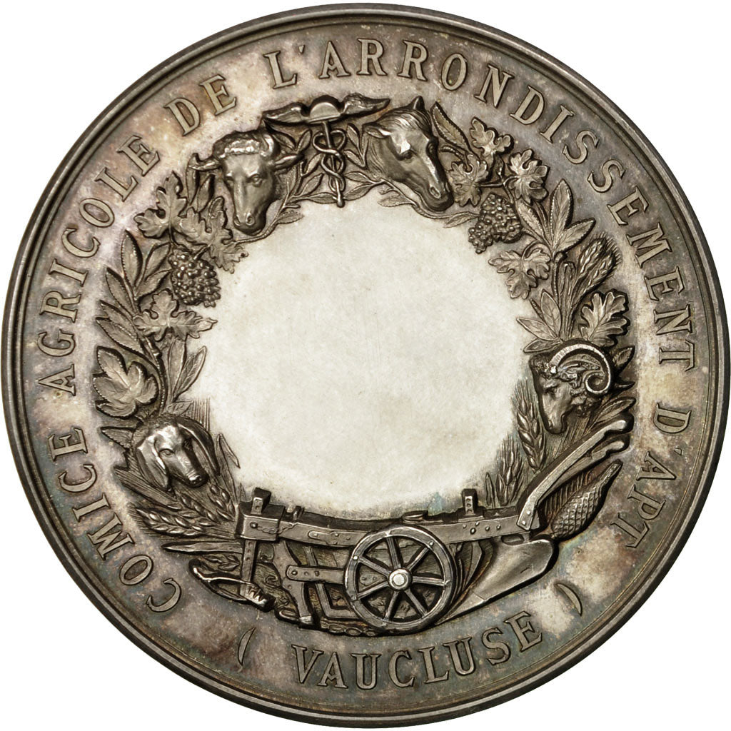 France, Médaille, Comice Agricole de l'Arrondissement d'Apt ( Vaucluse)