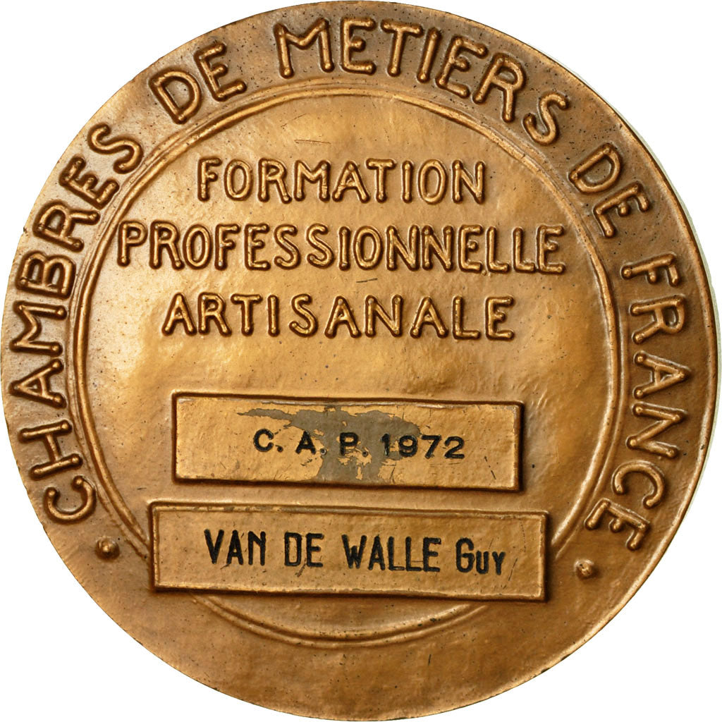 Francia, medalla, Chambre des Métiers de France, Artisanat, 1967, Lax, MBC+