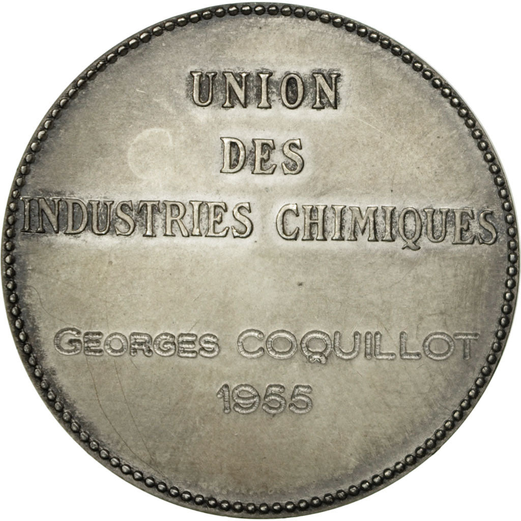 France, Medal, Union des Industries Chimiques, 1955, MS(63), Silver