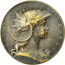 France, Médaille, Société Colombophile de Noeux-les-Mines, 1899, Dubois.H