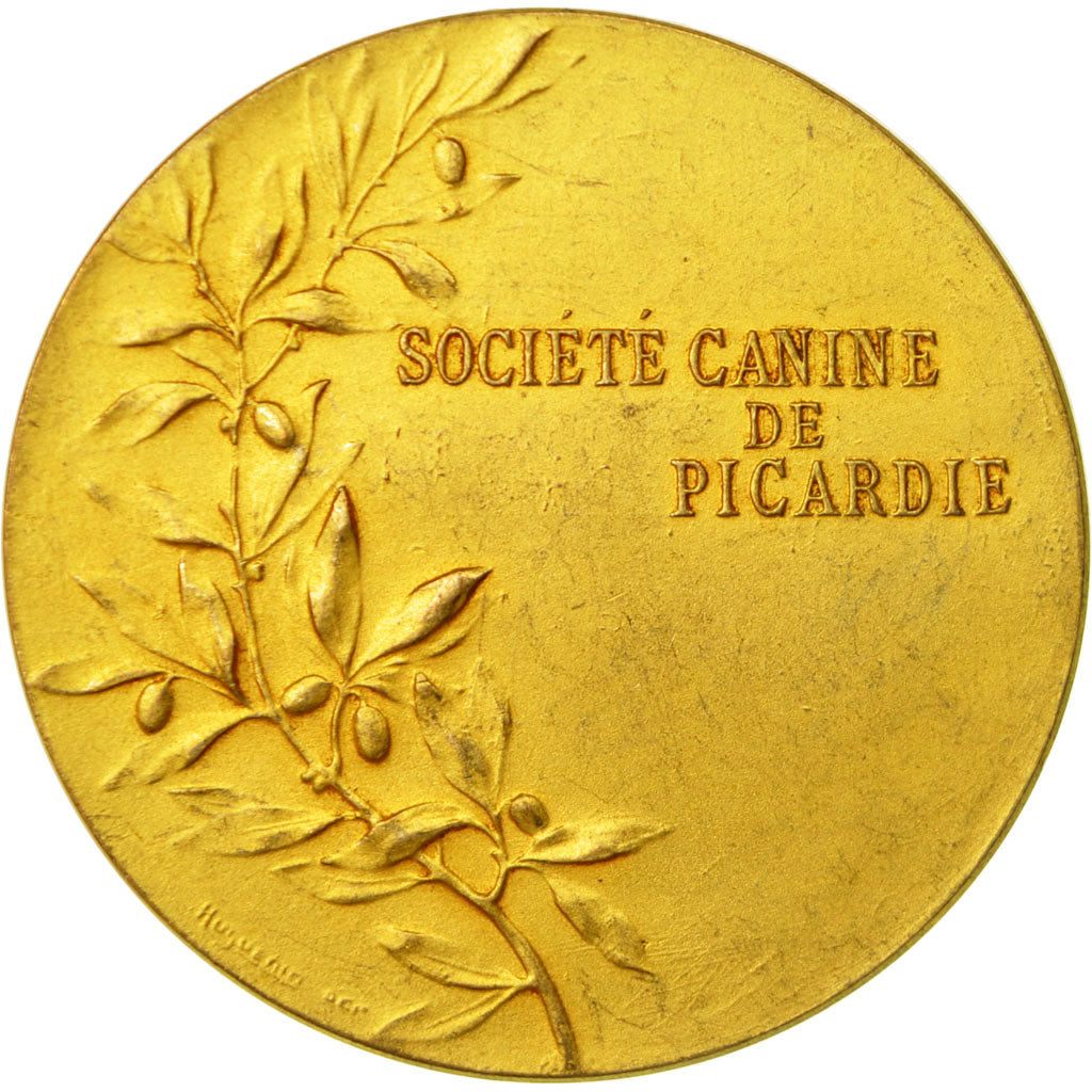 Frankreich, Medaille, Société Canine de Picardie, Tschudin, VZ, Gilt Bronze