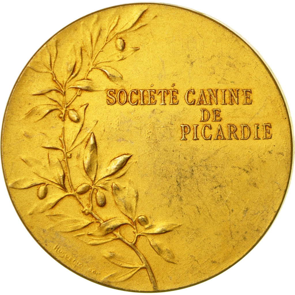 Francia, medaglia, Société Canine de Picardie, Tschudin, SPL-, Bronzo dorato