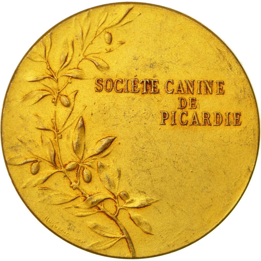 France, Medal, Société Canine de Picardie, Tschudin, AU(50-53), Gilt Bronze
