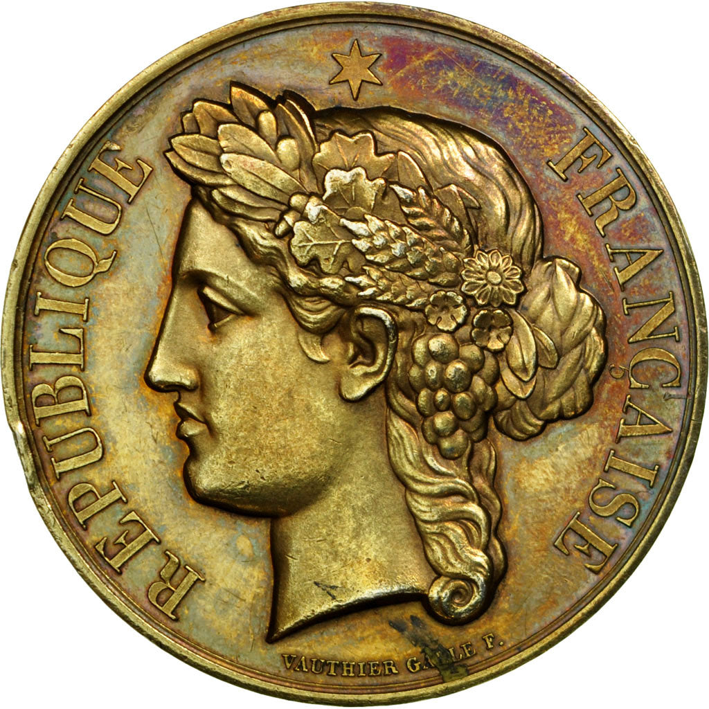 Frankrijk, Medaille, Médecine, Service de la Vaccine, St Laurent en Caux, 1882