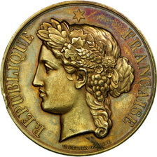 Frankrijk, Medaille, Médecine, Service de la Vaccine, St Laurent en Caux, 1882