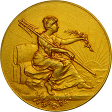 France, Medal, Corporation des Brasseurs du Nord de la France, AU(55-58), Gilt