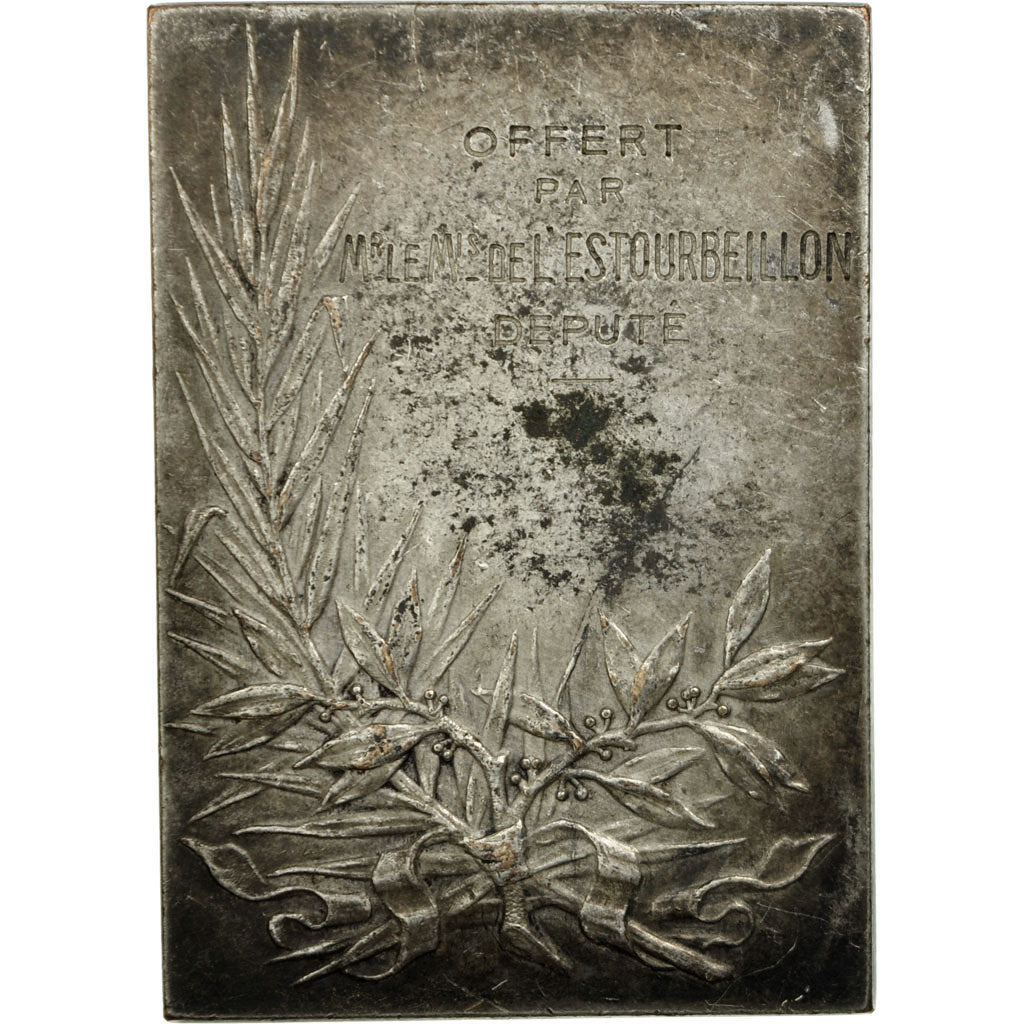 Francja, Medal, Patrie, Marianne Casquée, AU(50-53), Brąz posrebrzany