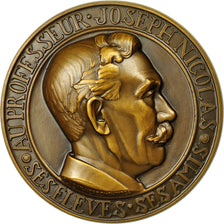 France, Médaille, Médecine, Professeur Joseph Nicolas, L'Antiquaille, Albert
