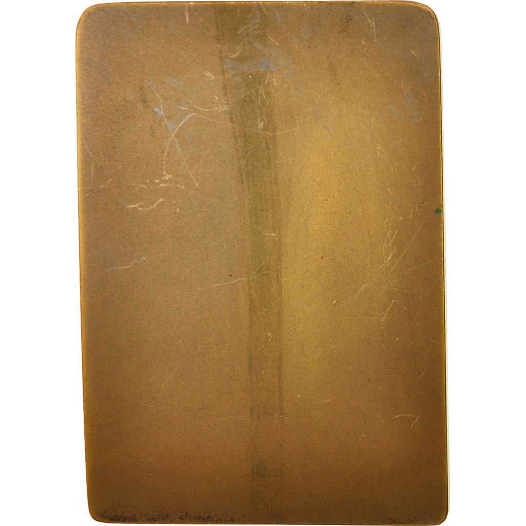 Frankreich, Medaille, Max Bruchet, Archviste, Haute-Savoie, Blaise, UNZ, Bronze