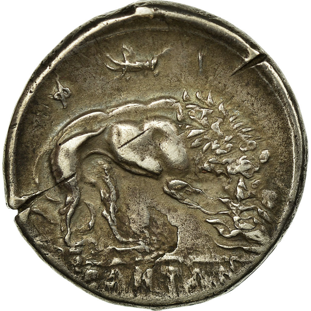 Moneta, Lucania, Athena, Velia, Didrachm, SPL-, Argento, Pozzi:257