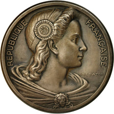 Frankreich, Medaille, Assemblée Nationale, P.Gavelle, Sténographe, 1951