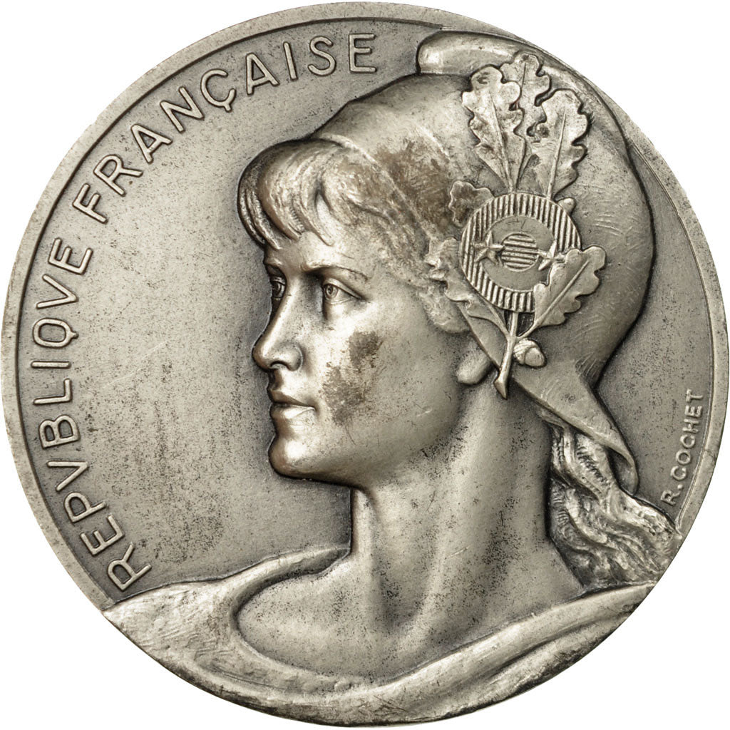 France, Medal, Assemblée Nationale, P.Gavelle, Sténographe, 1962, Cochet