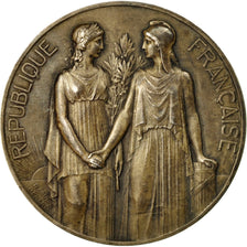 France, Medal, Assemblée Nationale, P.Gavelle, Sténographe, 1928, Benard
