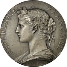 Frankrijk, Medaille, Chambre des Députés, J.Gavelle, Sténographe, 1924