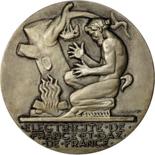 Frankreich, Medaille, Électricité de France et gaz de France, Dropsy, UNZ