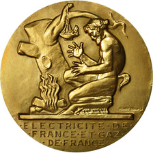France, Medal, Électricité de France et gaz de France, Dropsy, MS(65-70)