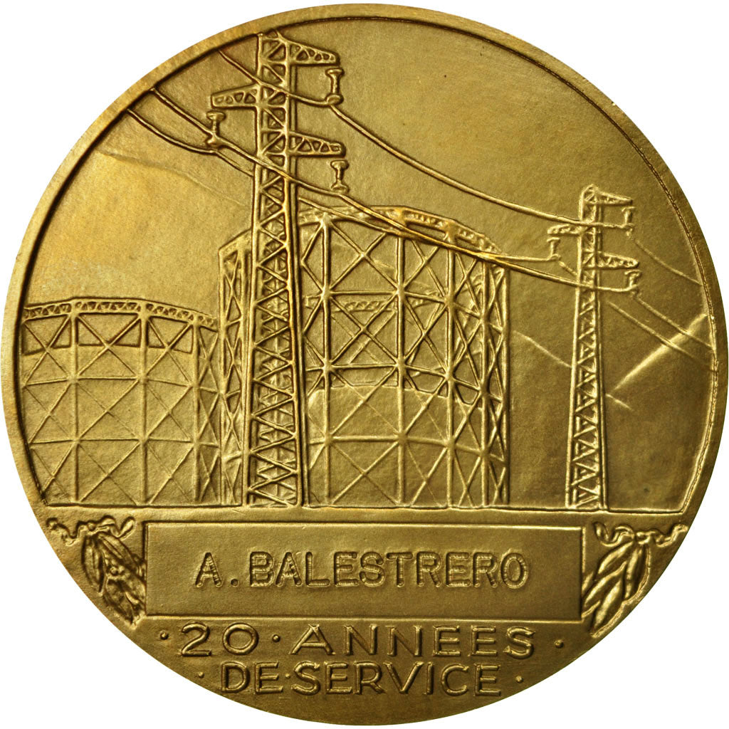 France, Medal, Électricité de France et gaz de France, Dropsy, MS(65-70)
