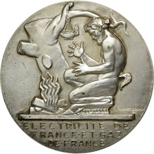 France, Médaille, Électricité de France et gaz de France, Dropsy, FDC