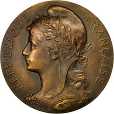 France, Medal, Administration de l'Assistance Publique, Paris, 1905, Marey