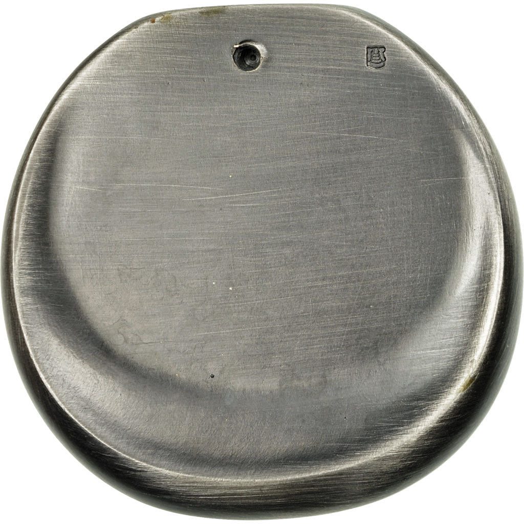 France, Medal, 100 Ans d'Aviation à Reims, 2008, MS(64), Silvered bronze