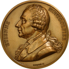 France, Medal, Etienne Montgolfier, 1973, Caqué, MS(63), Bronze