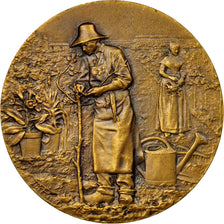 France, Medal, Société d'Horticulture de Douai, Rivet, MS(60-62), Bronze
