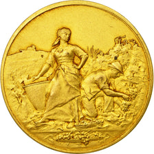 France, Médaille, Société d'Horticulture et Viticulture du Puy-de-Dôme