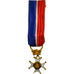France, Sauveteurs Hospitaliers de Rouen, Médaille, Très bon état, Gilt