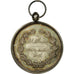 France, Medal, Education, Pensionnat de Mlle Lartisien, 1877, Desaide