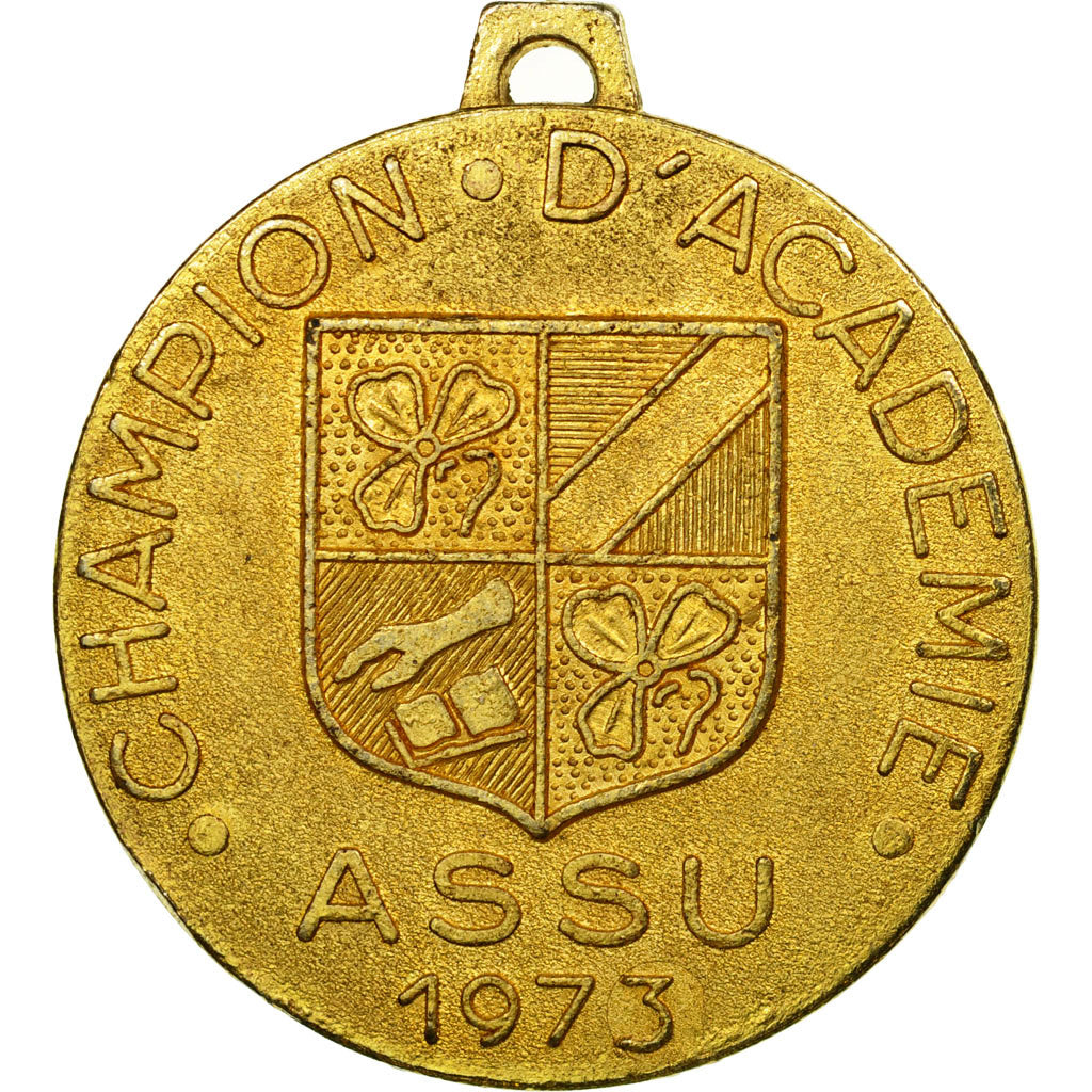 France, Médaille, Sport, Champion d'Académie, ASSU, 1973, SUP, Gilt Bronze