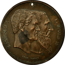 Belgio, medaglia, Léopold Ier-Léopold II, 1880, Wiener, BB, Bronzo