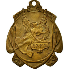 Belgique, Médaille, Prix Littéraire, 125 Mots, 1914, Fish, SUP, Bronze
