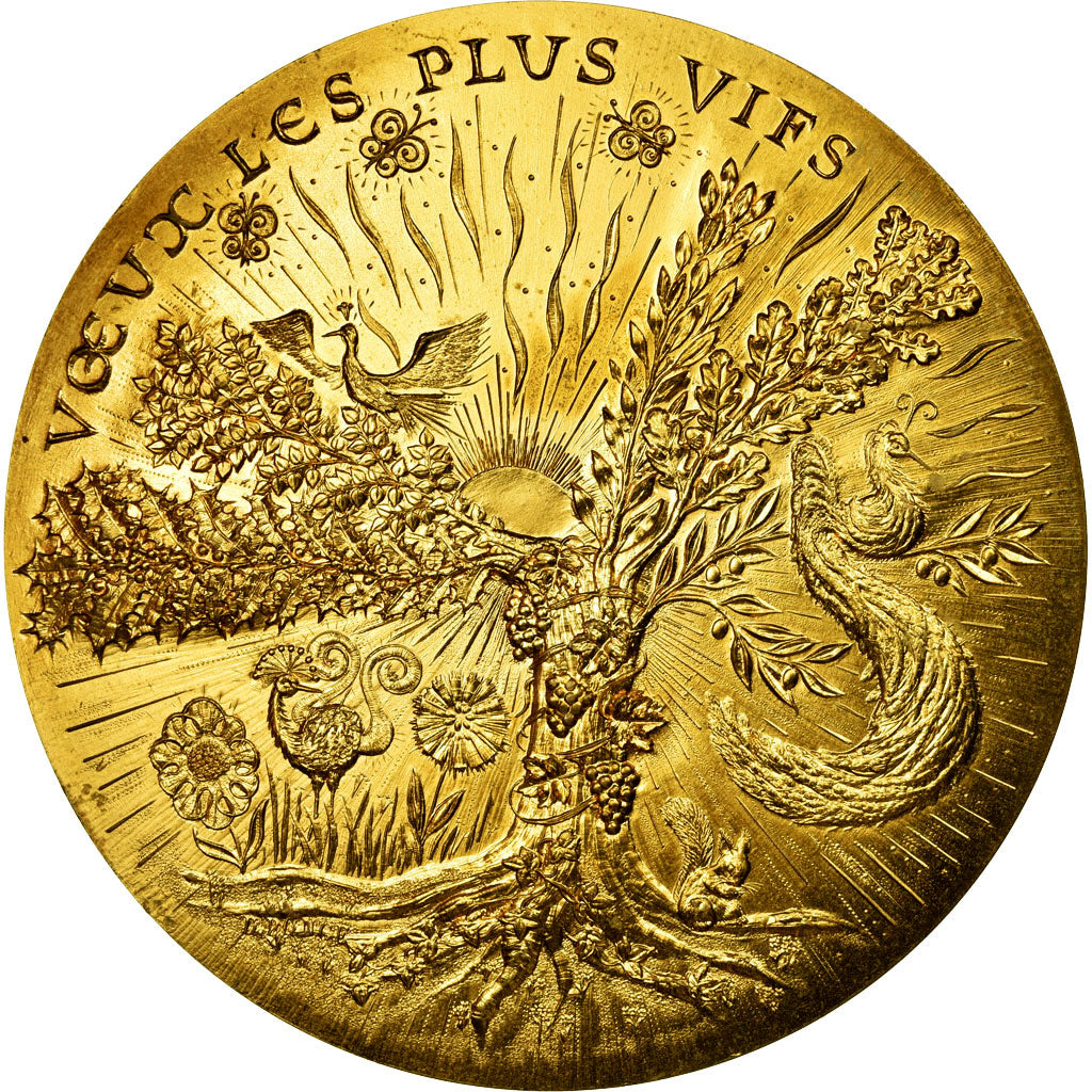 MÉDAILLE BRONZE CALENDRIER 1972 par DEVIGNE EUR 35,00 - PicClick FR