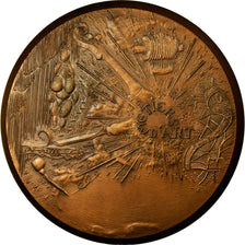 France, Médaille, Métiers d'Art, 1981, Santucci, SPL, Bronze