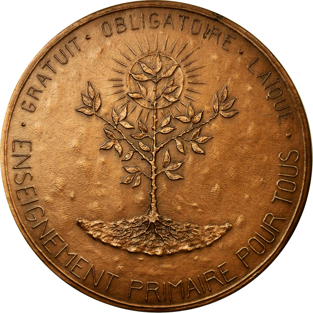 Francia, medalla, Jules Ferry, Enseignement Primaire pour Tous, 1982, Lay, EBC