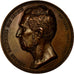 France, Médaille, Louis-Philippe Ier, Eusèbe Salverte, Elu Député, Paris