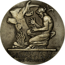 Frankrijk, Medaille, Électricité de France et gaz de France, Dropsy, PR