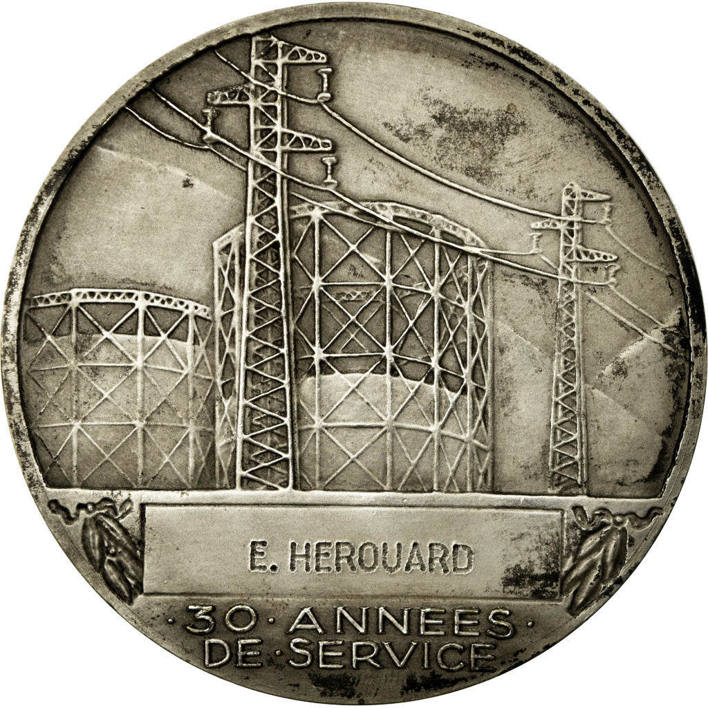 Francja, Medal, Électricité de France et gaz de France, Dropsy, MS(60-62)