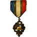 Frankreich, Union Nationale des Combattants, Medaille, Excellent Quality