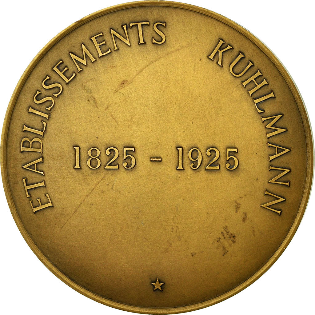 France, Medal, Industrie Chimique, Etablissements Kuhlmann, MS(64), Bronze