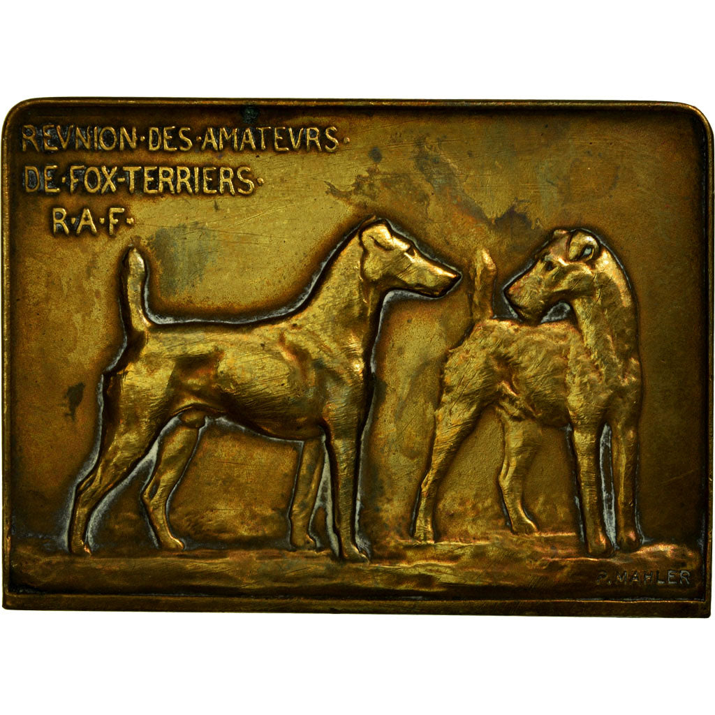 France, Médaille, Chiens, Réunion des amateurs de Fox-Terriers, R.A.F, Mahler