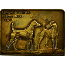 France, Médaille, Chiens, Réunion des amateurs de Fox-Terriers, R.A.F, Mahler