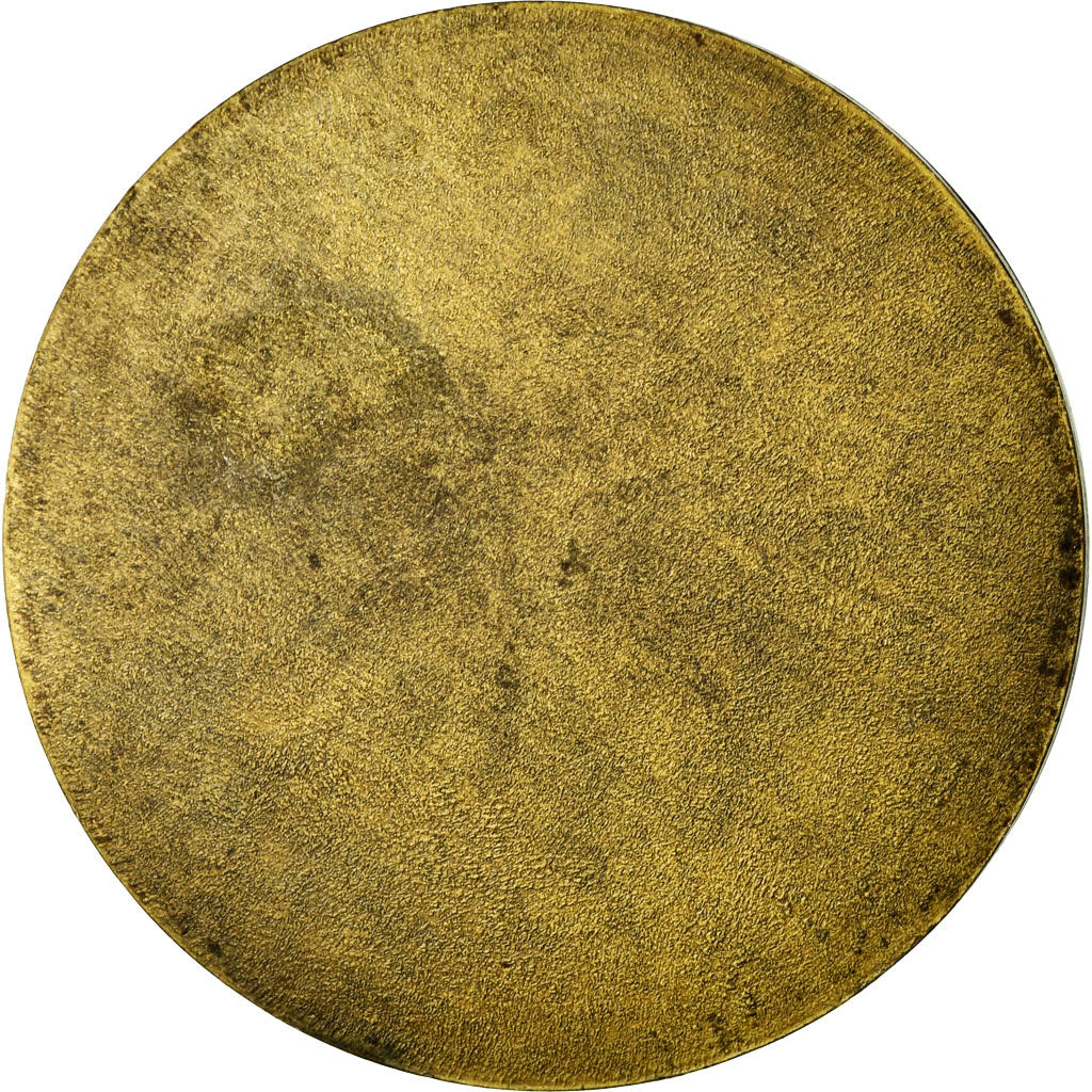 France, Medal, Emile Zola, Cercle du Bibliophile, AU(55-58), Bronze