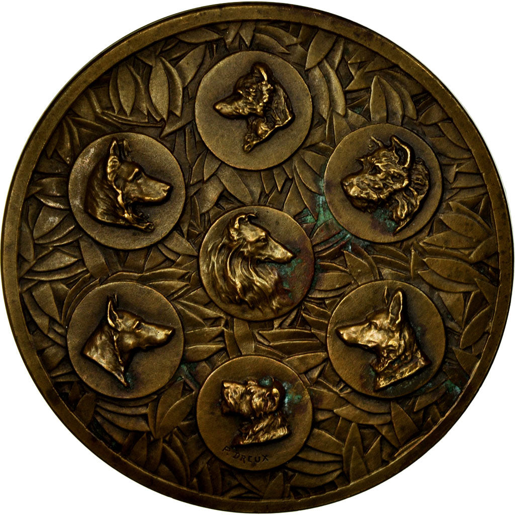 France, Medal, Chiens, Luchon, Dreux, AU(50-53), Bronze