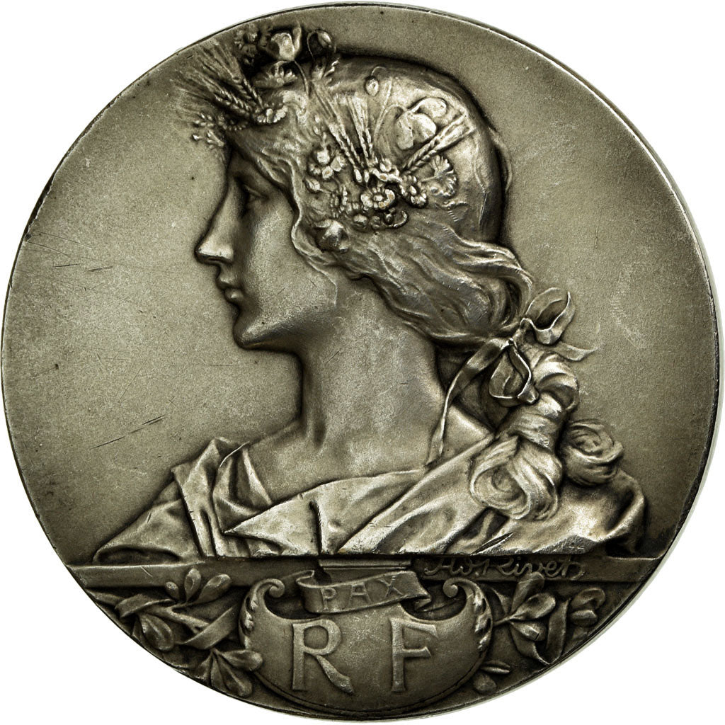 Francia, medaglia, Comité d'Erection des Monuments du Souvenir, Fourmies, Nord
