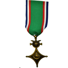 Algeria, Armée d'Afrique, Algérie, Maroc, Tunisie, Sahara, Médaille